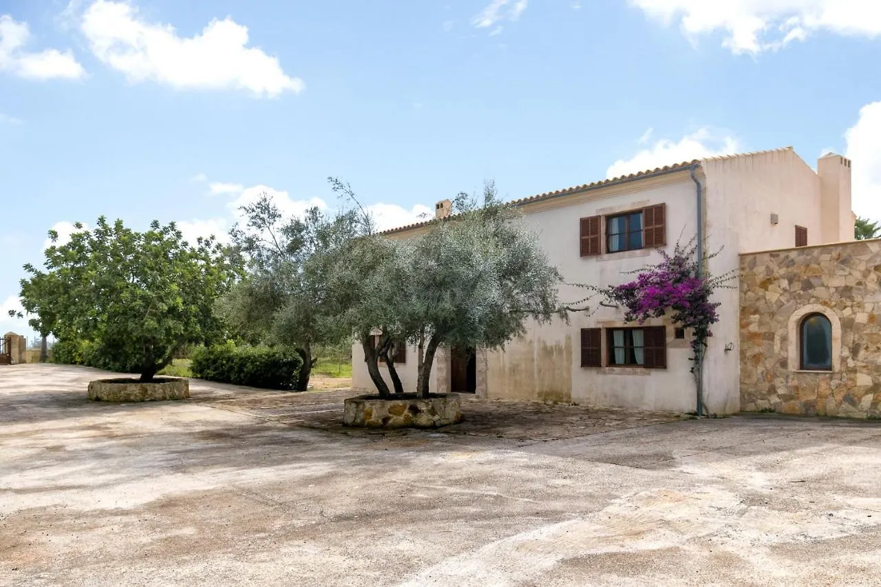 Holiday home Finca Son Sard